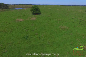 Fazenda 303 HA - Glorinha RS.00_03_17_12.Quadro001_3ba49bb37c07c0e414cfabdc71d91b8c5cc842ae.jpg